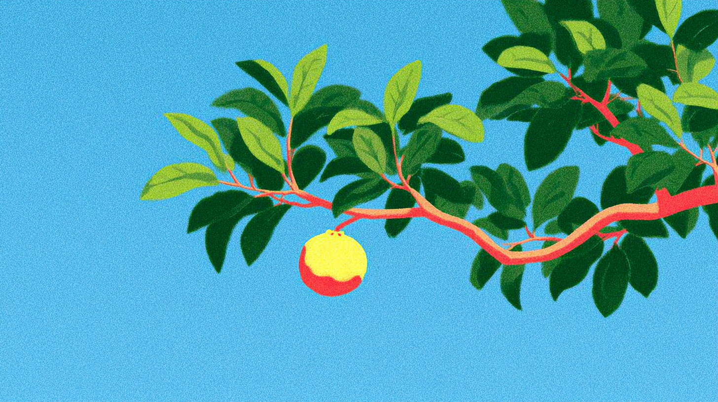 木につながり成長する実の挿絵